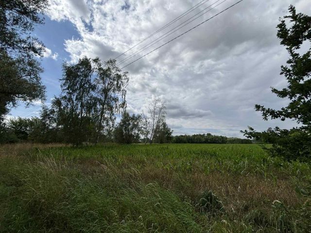 Działka rolna Kopiska. Zdjęcie 1