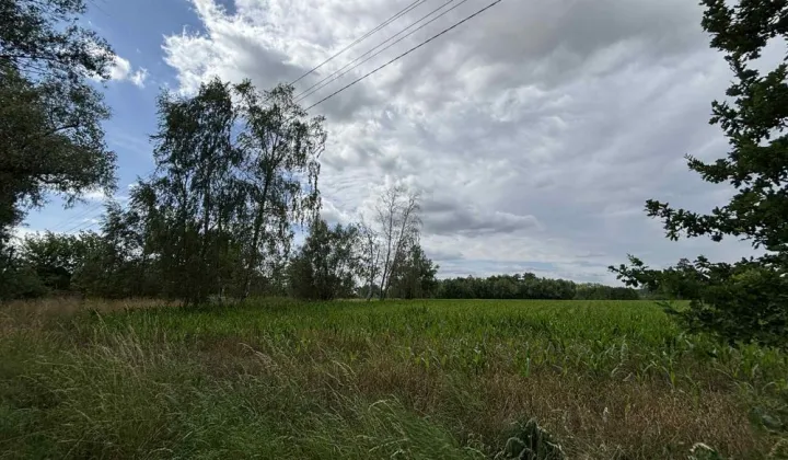 Działka rolna Kopiska