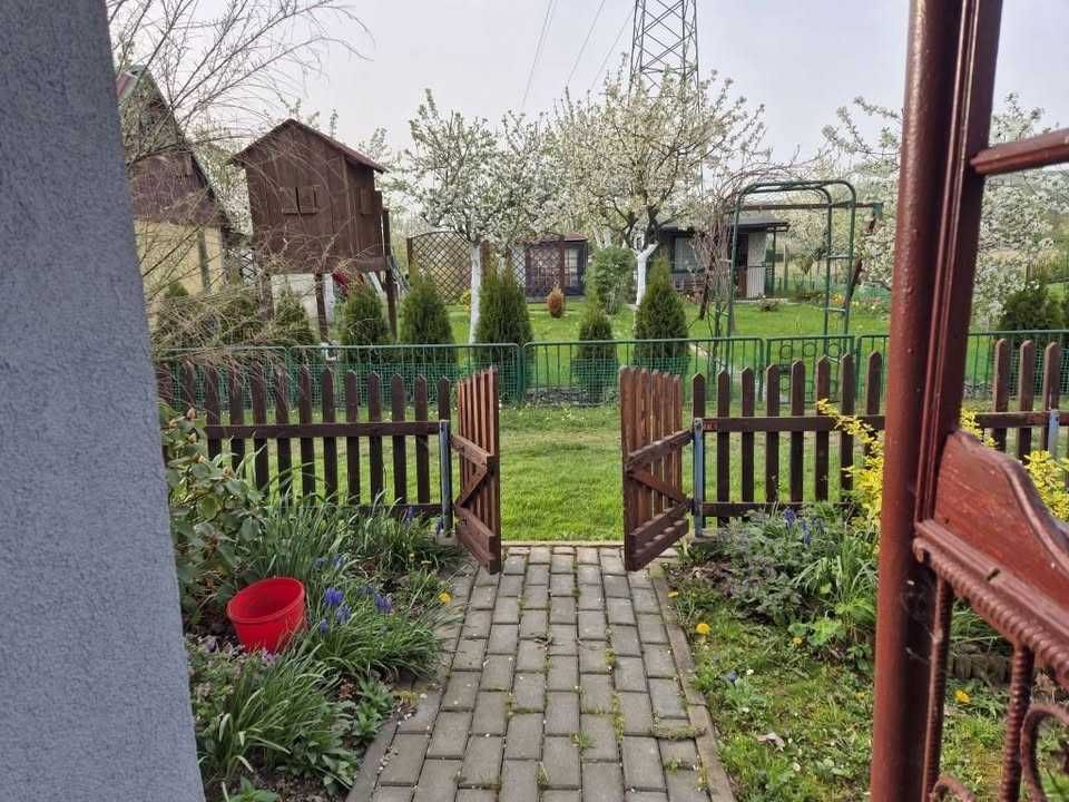 Działka rod Bogatynia. Zdjęcie 6