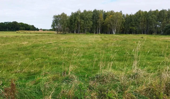 Działka budowlana Zagajnik, ul. Wojska Polskiego