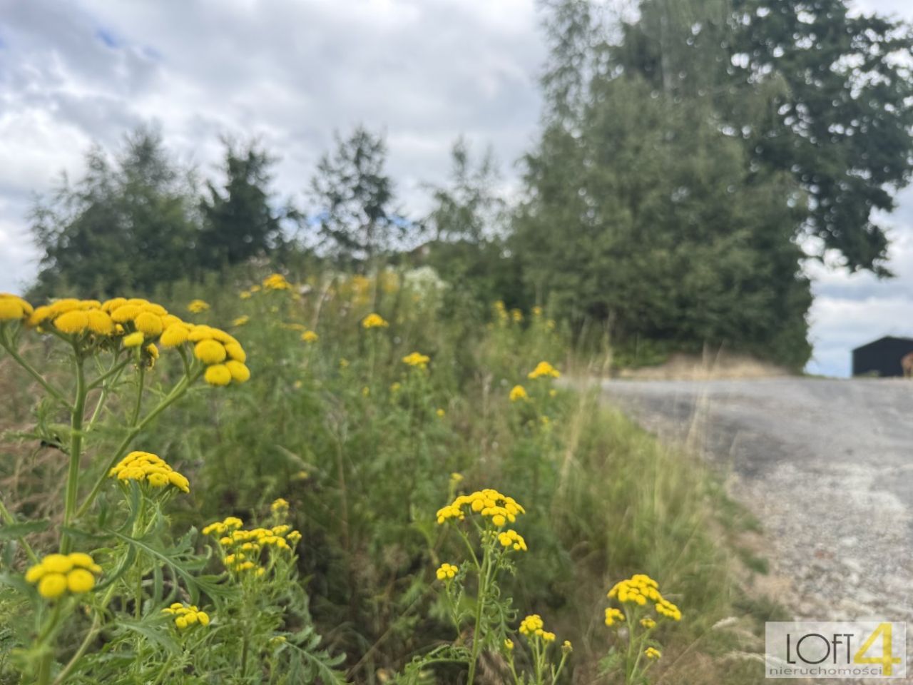 Działka budowlana Rudnik. Zdjęcie 4