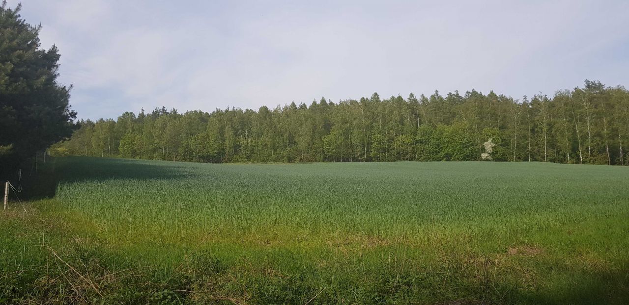 Działka inwestycyjna Orzełek. Zdjęcie 6