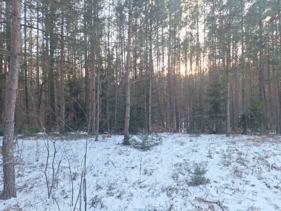 Działka budowlana Krasnobród. Zdjęcie 2