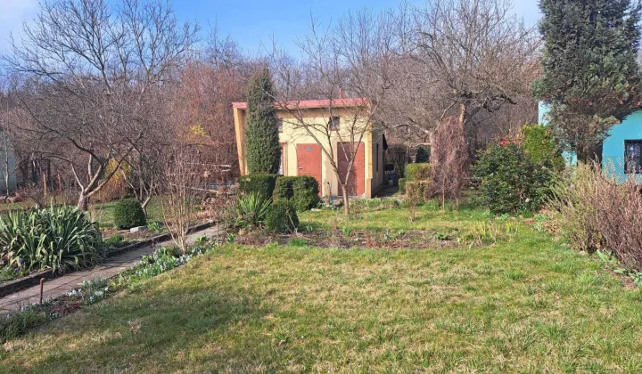 Działka rod Sosnowiec, ul. Krzysztofa Kamila Baczyńskiego