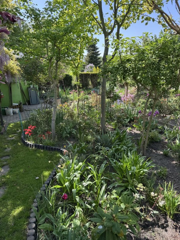 Działka rod Gliwice Ostropa, ul. Ku Dołom. Zdjęcie 3