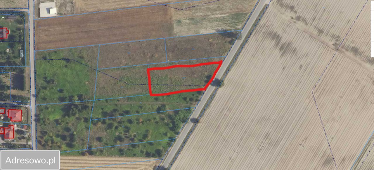 Działka rolno-budowlana Wygoda Smoszewska. Zdjęcie 3