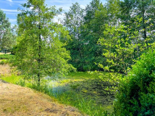 Działka budowlana Boguszków. Zdjęcie 18