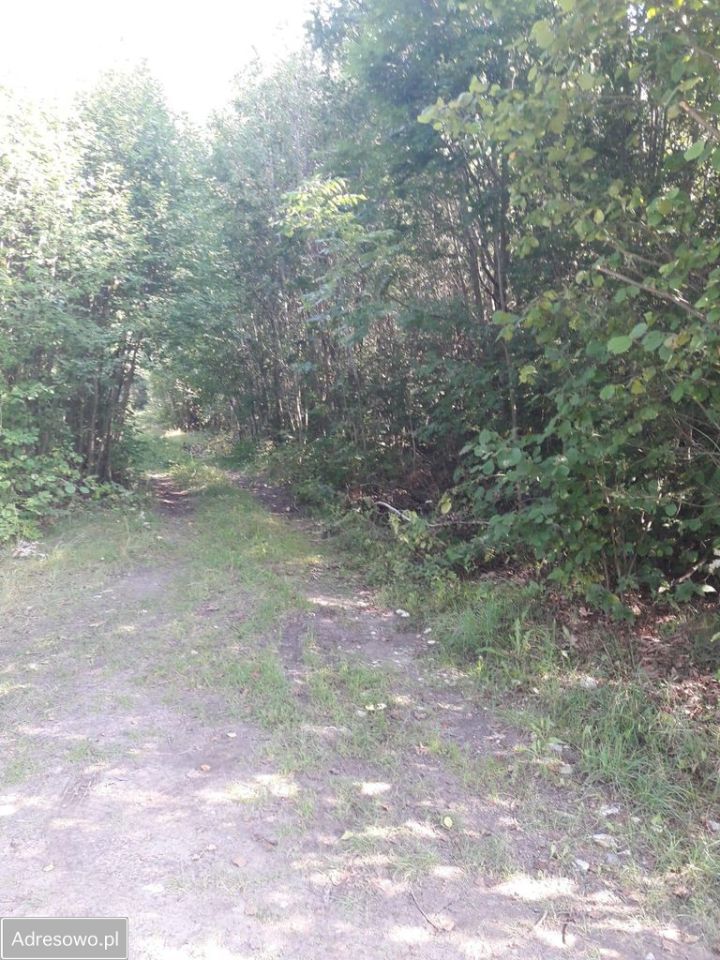 Działka rolno-budowlana Zabłudów. Zdjęcie 2