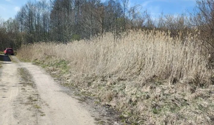 Działka budowlana Zielona Góra Ochla