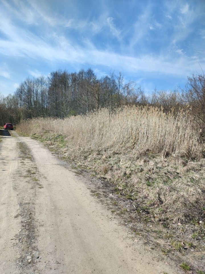 Działka budowlana Zielona Góra Ochla. Zdjęcie 1