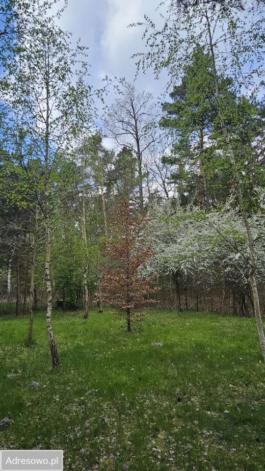 Działka budowlana Piskórka, ul. Jagodowa. Zdjęcie 7