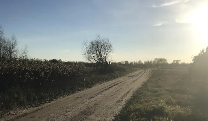 Działka rolno-budowlana Janów