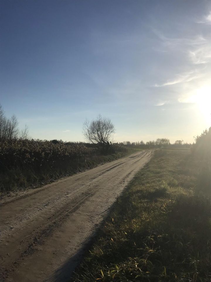 Działka rolno-budowlana Janów. Zdjęcie 3