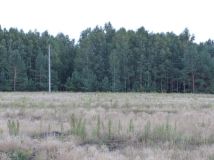 Działka rolno-budowlana Małomin. Zdjęcie 4