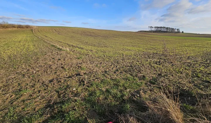 Działka rolno-budowlana Przyrowa