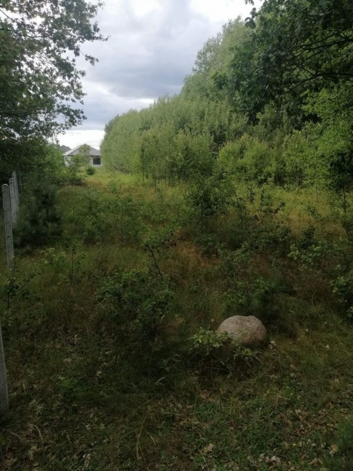 Działka rolno-budowlana Białuń, ul. Morelowa. Zdjęcie 3