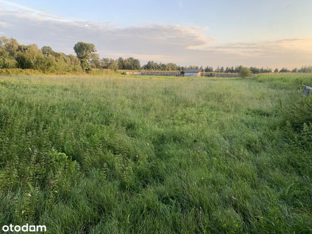 Działka rolno-budowlana Rogoż, ul. Parkowa. Zdjęcie 1