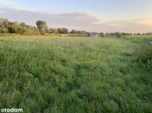 Działka rolno-budowlana Rogoż, ul. Parkowa