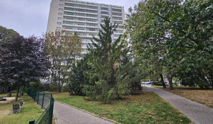 Mieszkanie 1-pokojowe Warszawa Mokotów, ul. Stefana Batorego