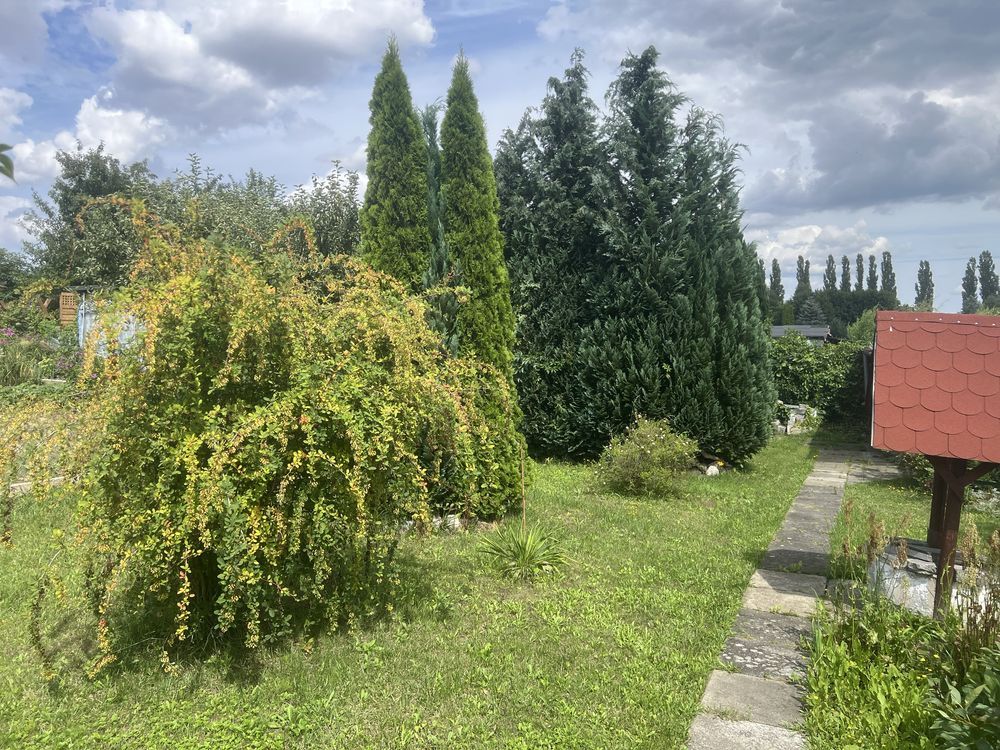 Działka rod Tczew. Zdjęcie 2