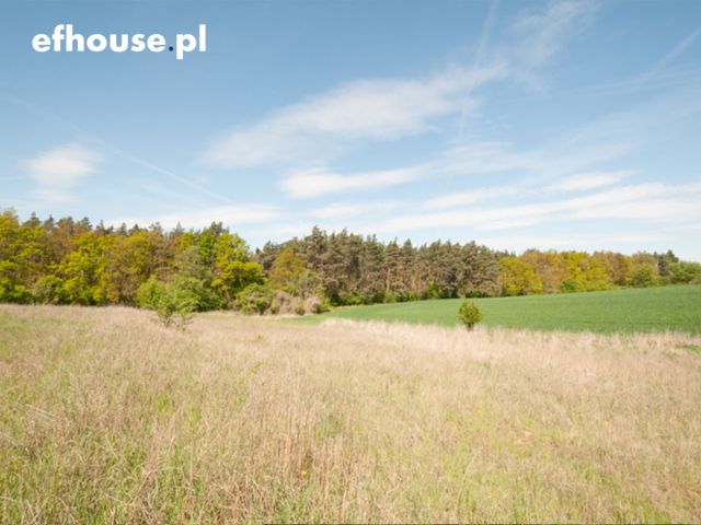 Działka rekreacyjna Wolice. Zdjęcie 12