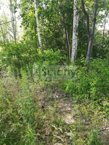 Działka rolna Chotomów. Zdjęcie 3