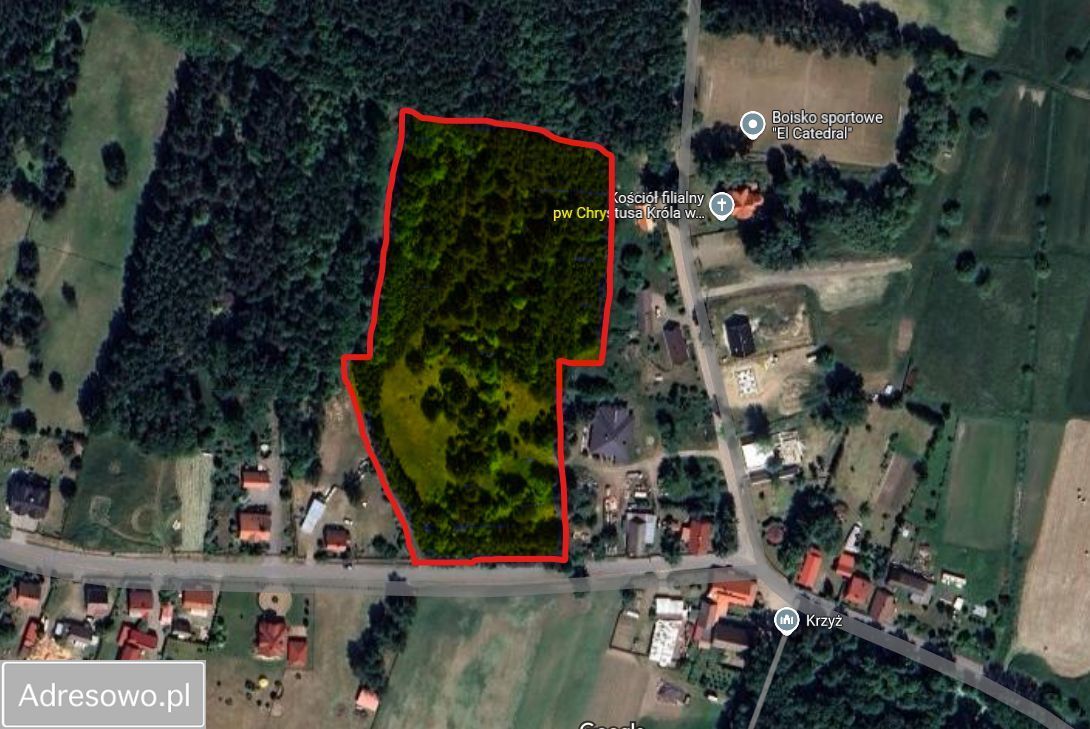 Działka siedliskowa Postolin. Zdjęcie 5