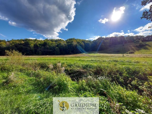 Działka Kobysewo. Zdjęcie 8