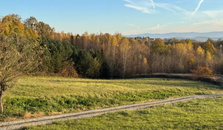 Działka rolno-budowlana Lisów