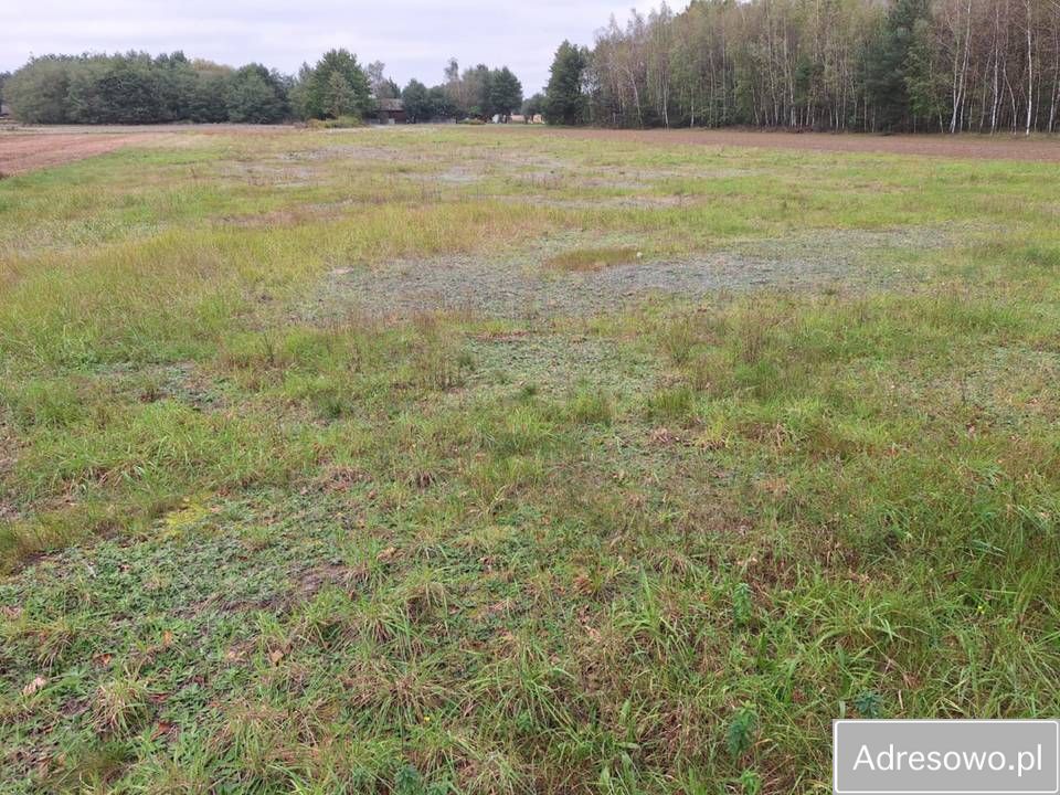 Działka budowlana Świdrówka