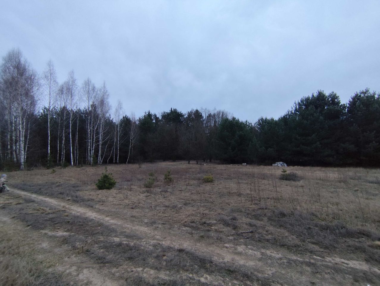 Działka budowlana Gołąbek. Zdjęcie 6