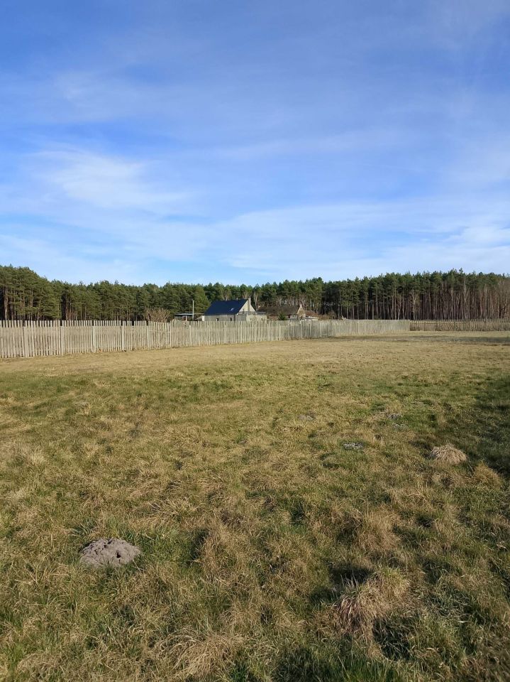 Działka rolno-budowlana Toczeń. Zdjęcie 4