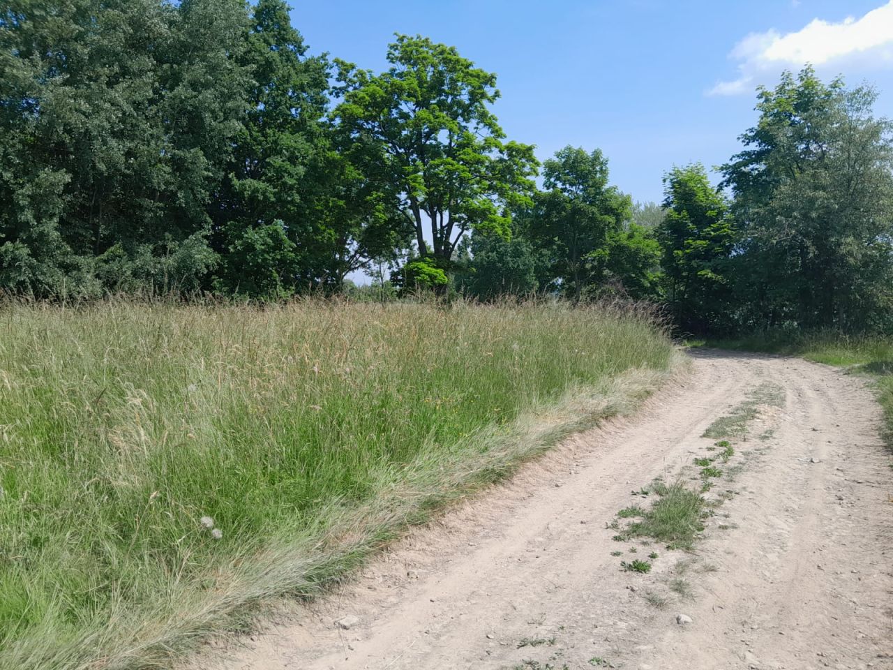 Działka budowlana Starkówek. Zdjęcie 8