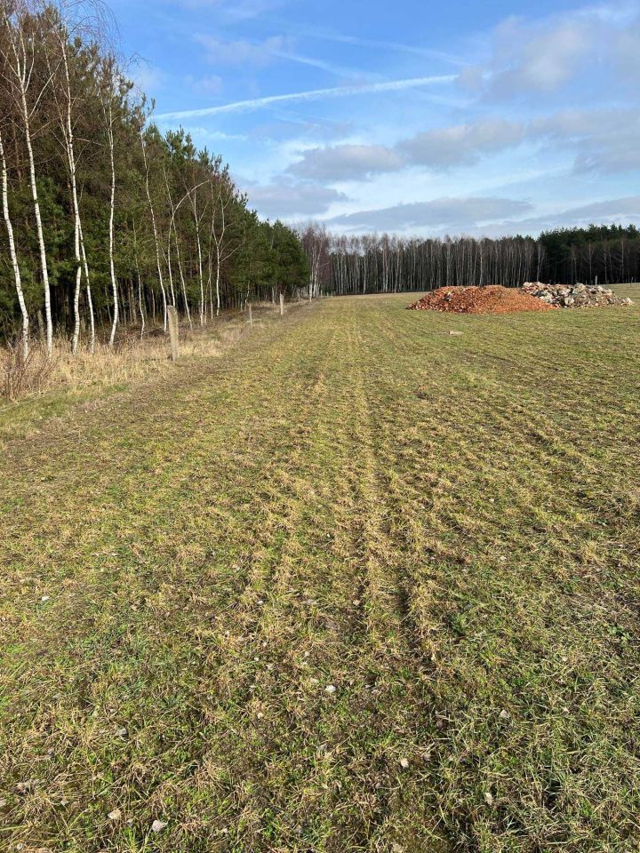 Działka budowlana Piła. Zdjęcie 7