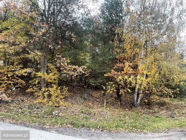 Działka budowlana Prace Duże, ul. Tarczyńska. Zdjęcie 1