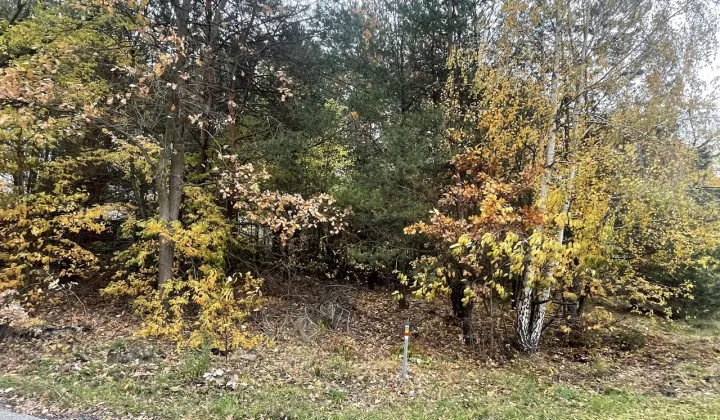 Działka budowlana Prace Duże, ul. Tarczyńska