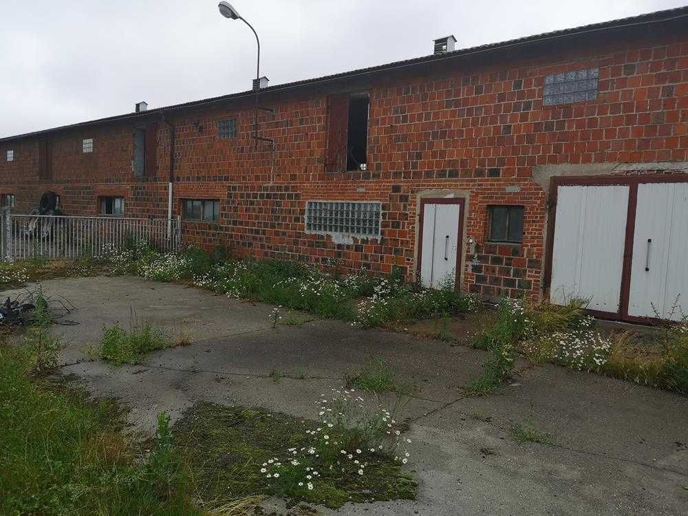 Nieruchomość komercyjna Zimin. Zdjęcie 6