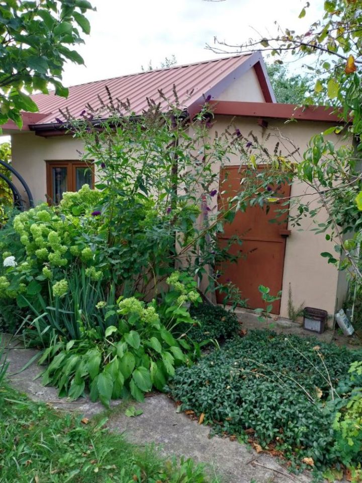 Działka rod Kielce, ul. Jeleniowska. Zdjęcie 3