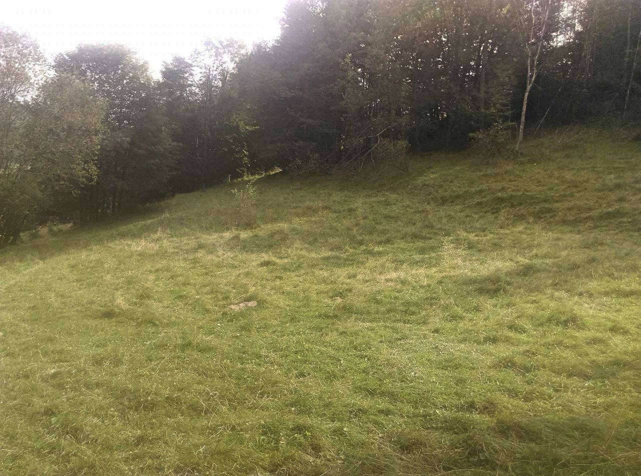 Działka inna Zawoja. Zdjęcie 6