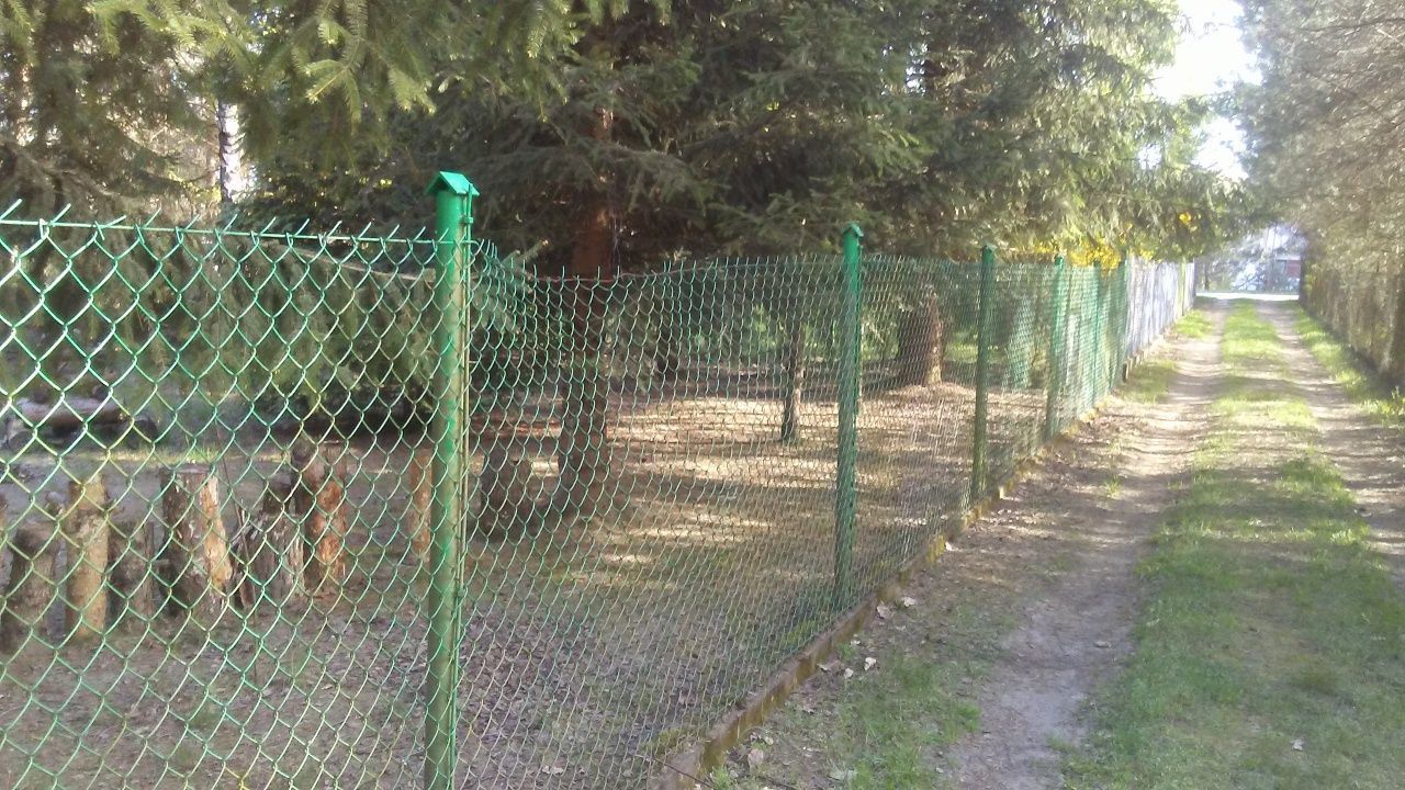 Działka budowlana Tartak Brzózki, ul. Polna. Zdjęcie 8