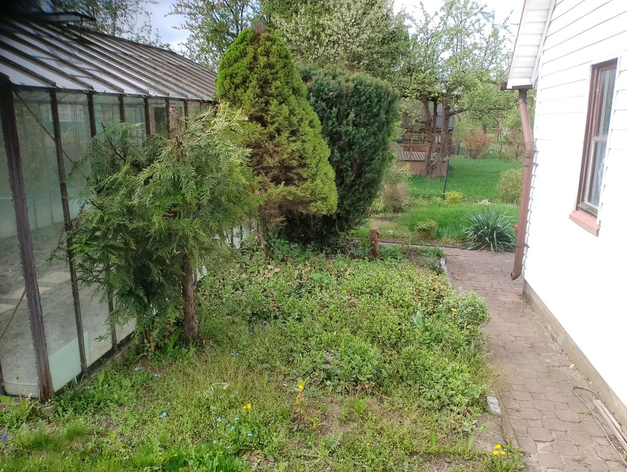 Działka rod Białystok Dojlidy, ul. Adama Mickiewicza. Zdjęcie 3