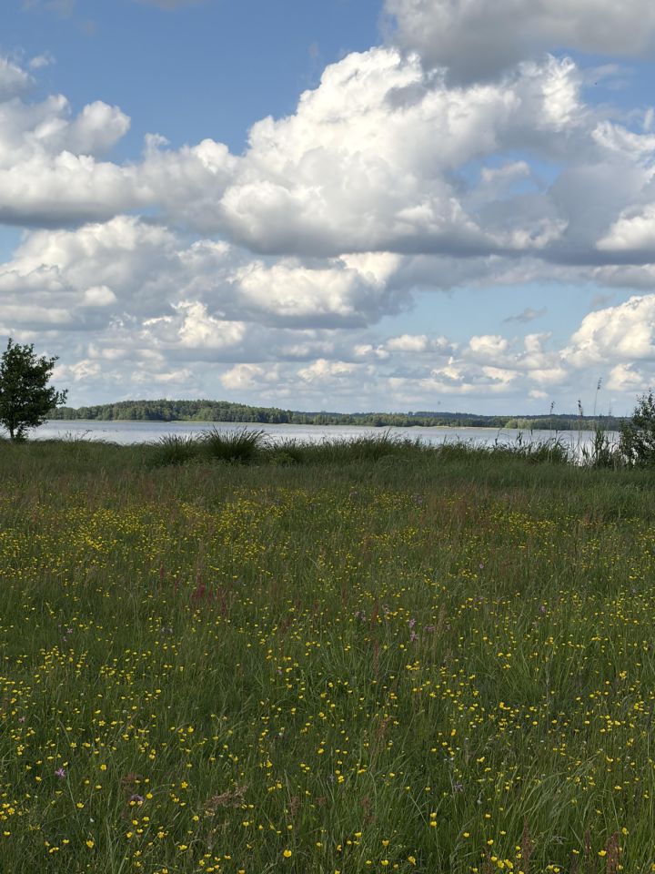 Działka rolna Kruszyn. Zdjęcie 7