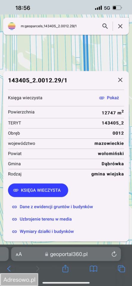 Działka rekreacyjna Kołaków, ul. Walecznych. Zdjęcie 1