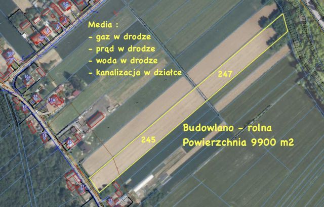 Działka rolno-budowlana Nietulisko Małe. Zdjęcie 1