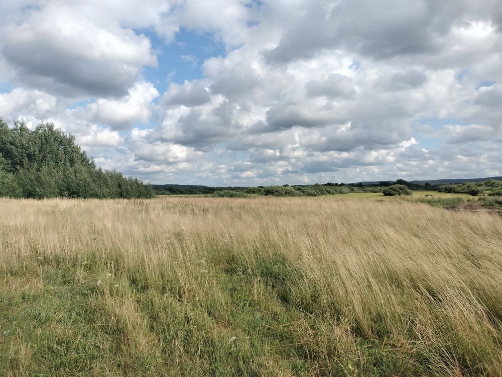 Działka budowlana Reda, ul. Rolnicza. Zdjęcie 5