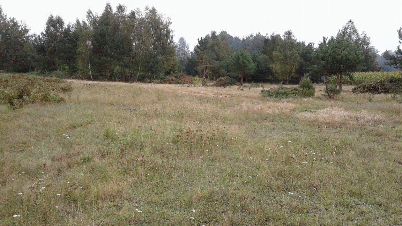 Działka budowlana Nowodzielnik. Zdjęcie 3