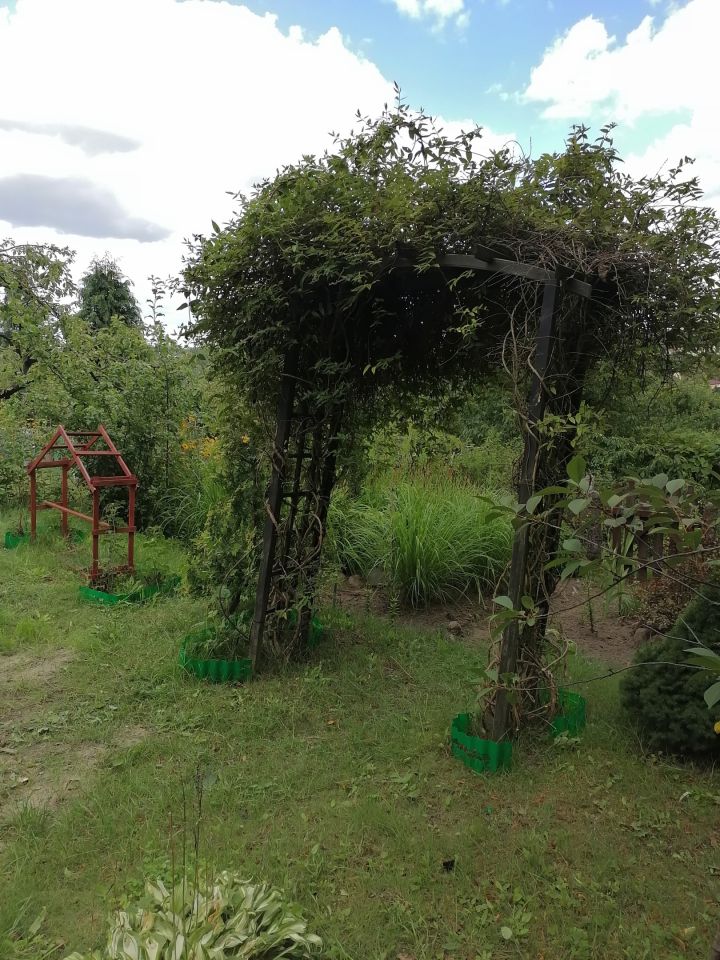 Działka rod Gorzów Wielkopolski Piaski, ul. Żwirowa. Zdjęcie 7