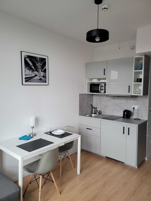 Mieszkanie 1-pokojowe Wrocław Psie Pole, ul. Bierutowska. Zdjęcie 7