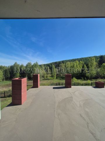 dom wolnostojący, 13 pokoi Borowice. Zdjęcie 22