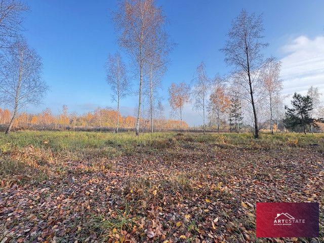 Działka siedliskowa Florentynów. Zdjęcie 2